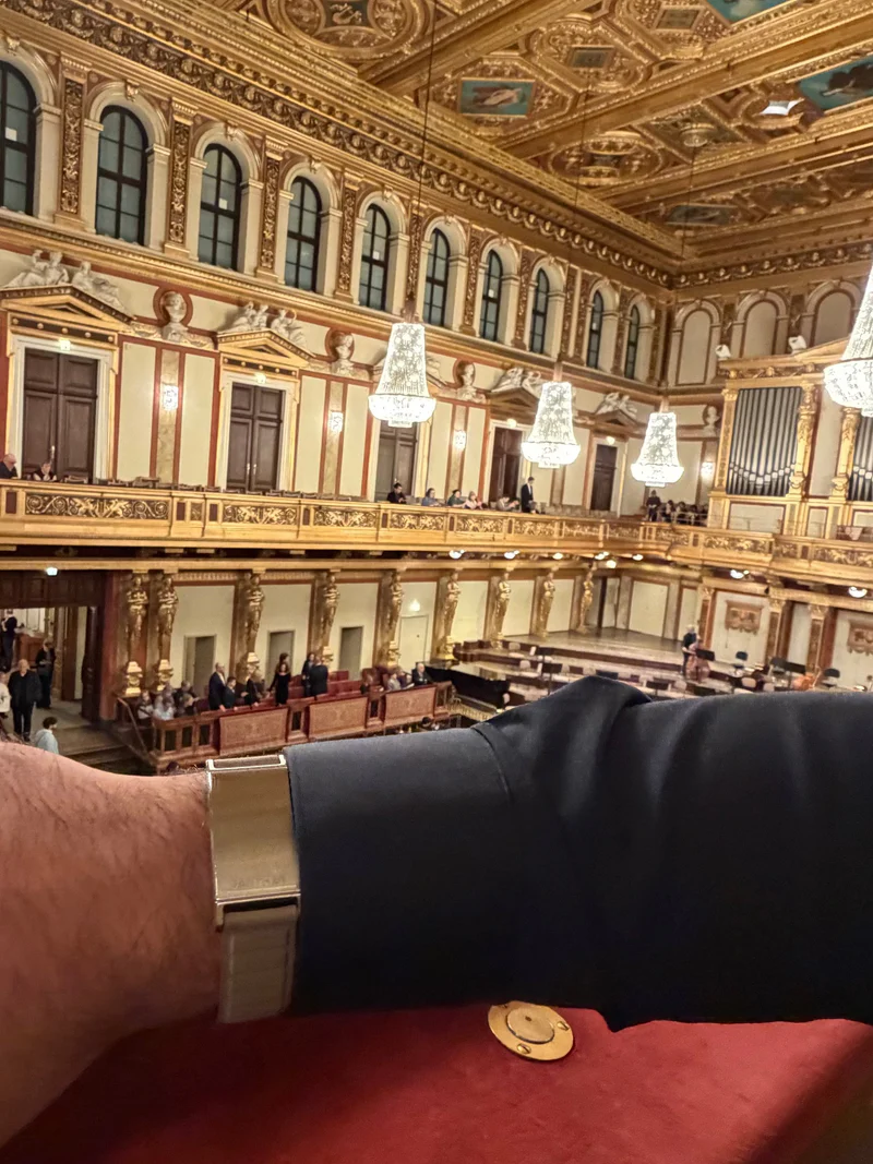 Panther Eclipse worn at the Musikverein concert hall in Vienna